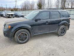 Ford salvage cars for sale: 2010 Ford Escape xlt