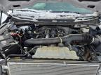 2024 Ford F150 xlt