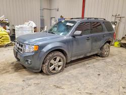 2012 Ford Escape xlt for sale in Appleton, WI