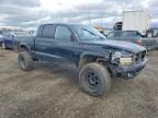 2001 Dodge Dakota Quattro
