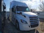 2019 Freigliner 2019 Freightliner Cascadia 126 Semi Truck
