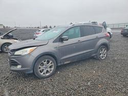 2014 Ford Escape Titanium en venta en Reno, NV