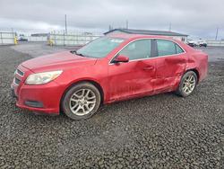 Chevrolet Malibu salvage cars for sale: 2013 Chevrolet Malibu 1LT