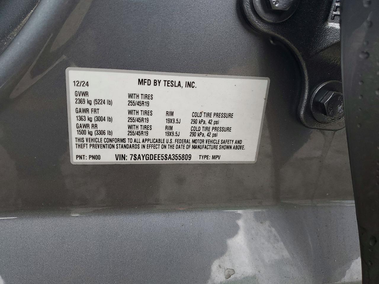 2025 Tesla Model y