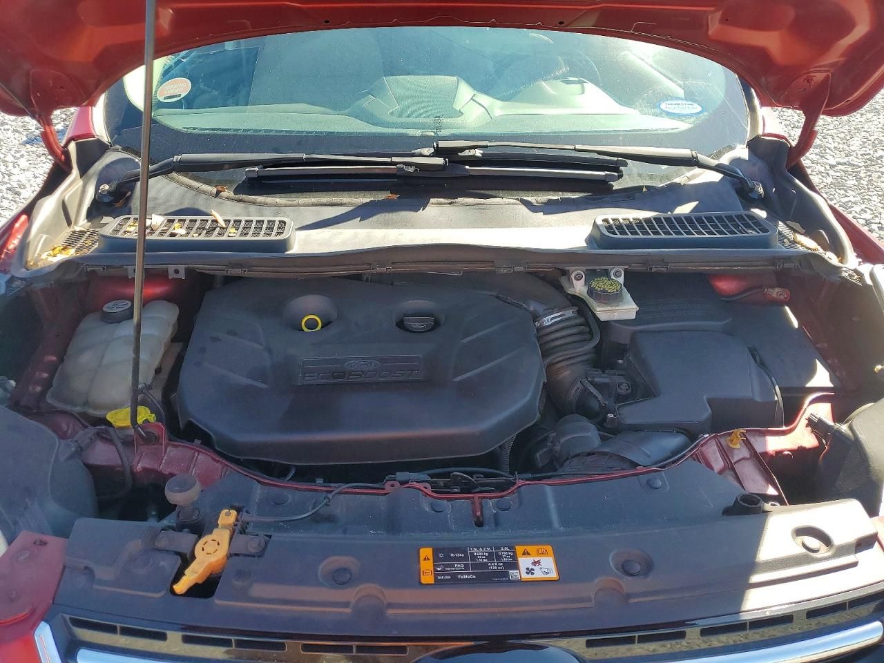 2013 Ford Escape sel