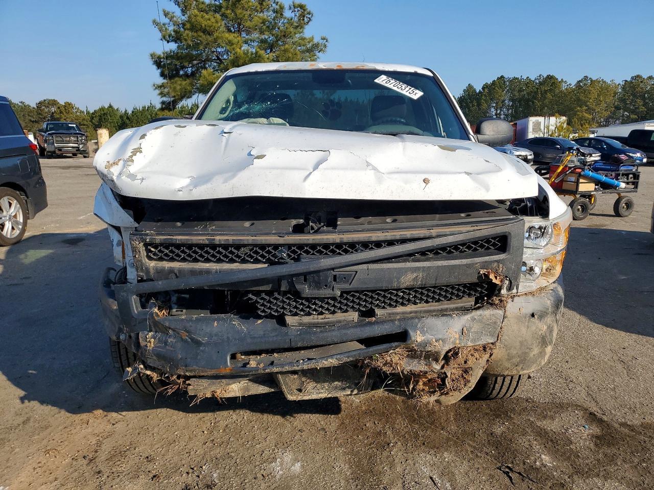 2011 Chevrolet Silverado C1500