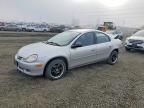 2002 Dodge Neon se