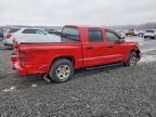2005 Dodge Dakota Quad SLT