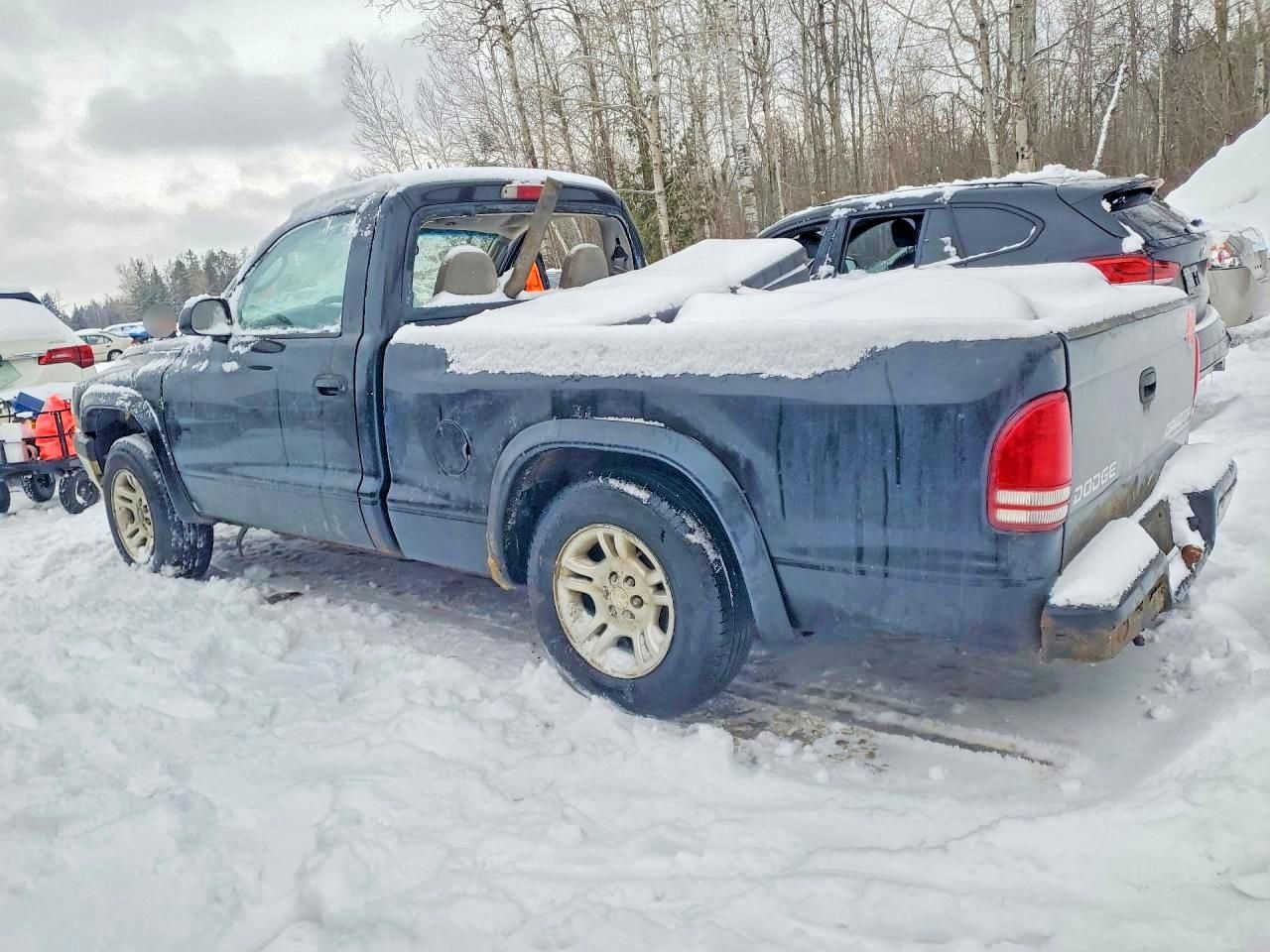 2004 Dodge Dakota Sport