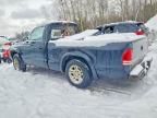 2004 Dodge Dakota Sport