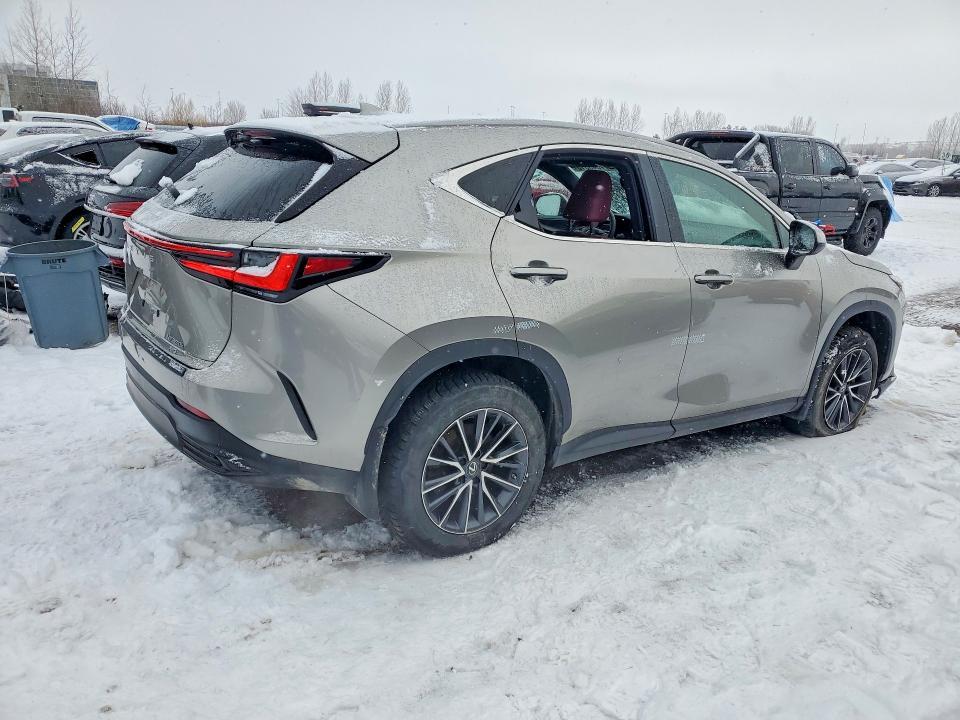 2023 Lexus NX