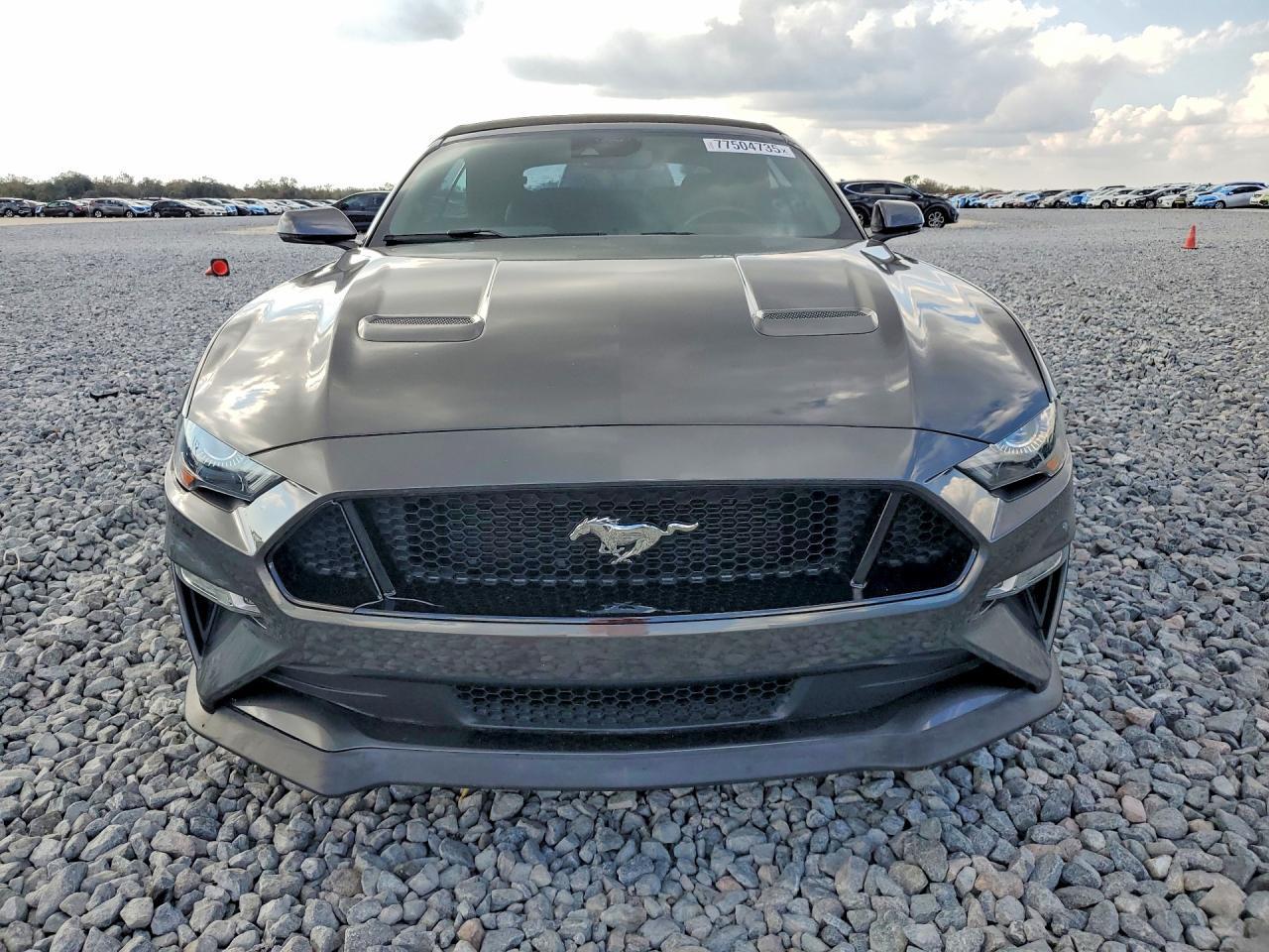 2019 Ford Mustang gt