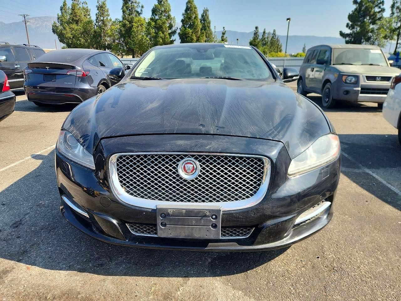2013 Jaguar Xjl Portfolio