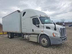 Freigliner 2015 Freightliner box tru Vehiculos salvage en venta: 2015 Freigliner 2015 Freightliner BOX Truck