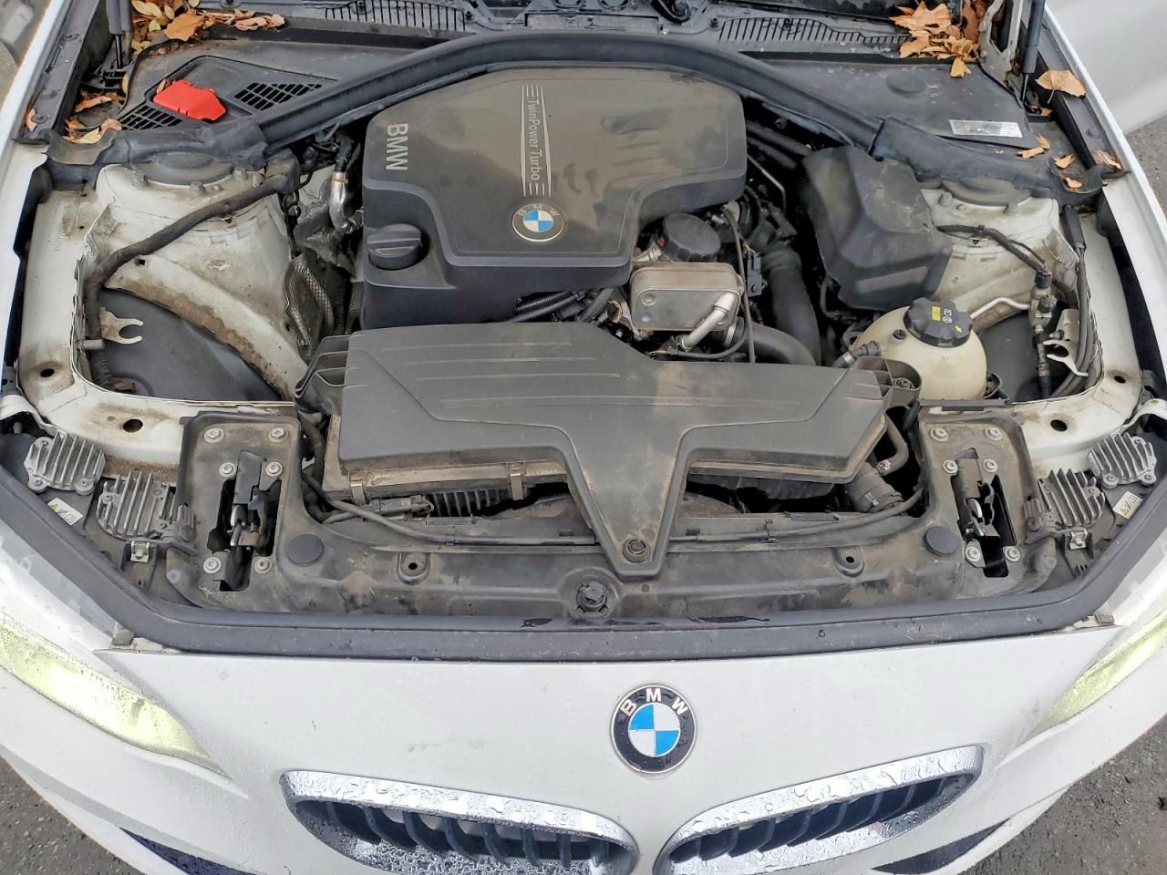 2016 BMW 228 i Sulev