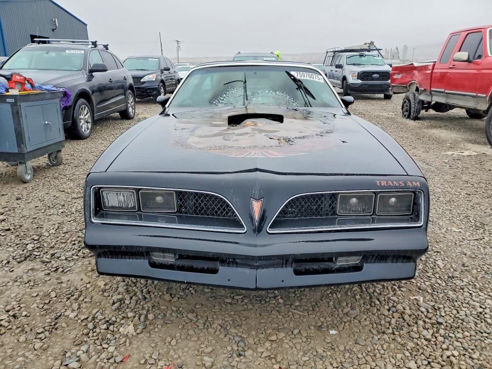1981 Pontiac Firebird Trans am