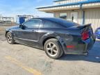 2005 Ford Mustang gt