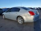 2008 Nissan Maxima se