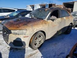 Audi Q3 Premium Plus salvage cars for sale: 2016 Audi Q3 Premium Plus
