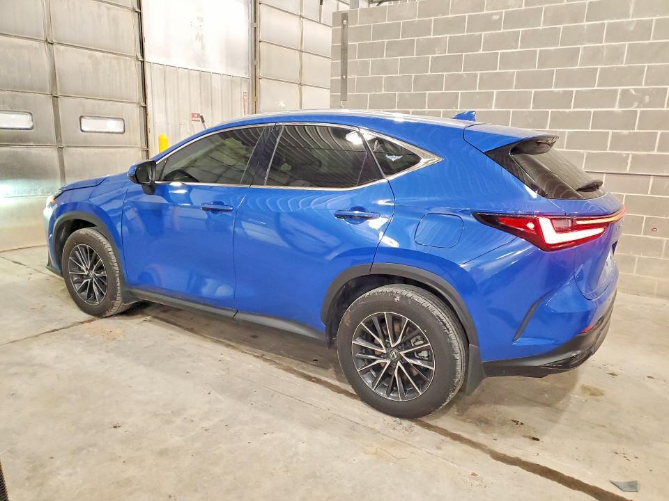 2024 Lexus NX