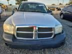 2007 Dodge Dakota st