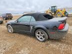 2003 Ford Mustang Cobra svt