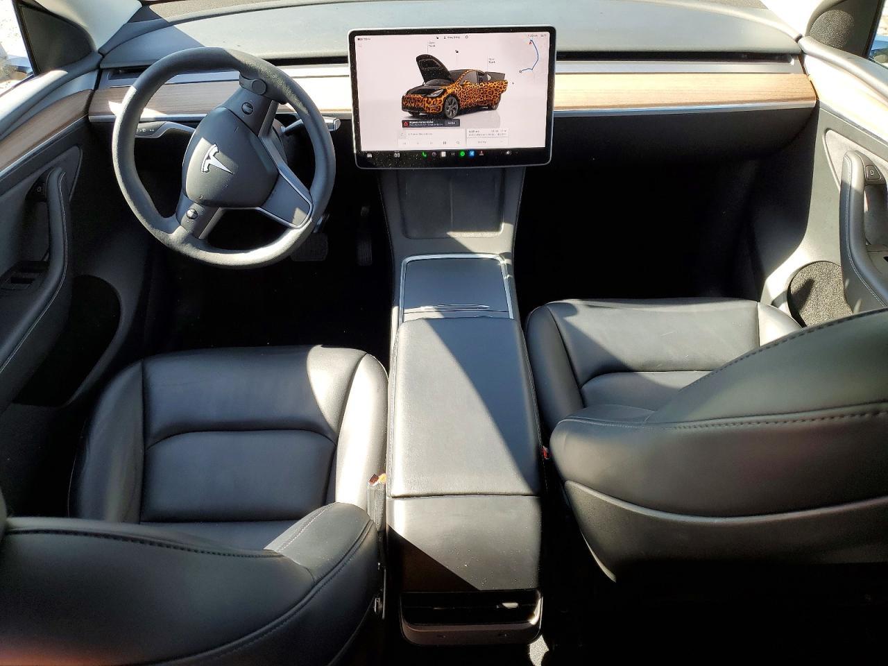 2025 Tesla Model y