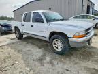 2001 Dodge Dakota Quattro