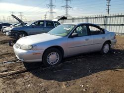 Chev Vehiculos salvage en venta: 2002 Chev Malibu
