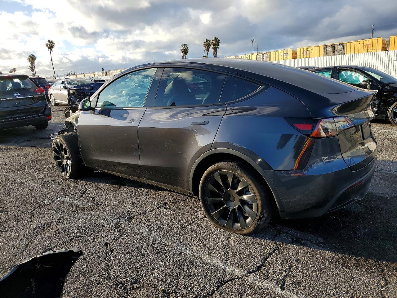 2024 Tesla Model y