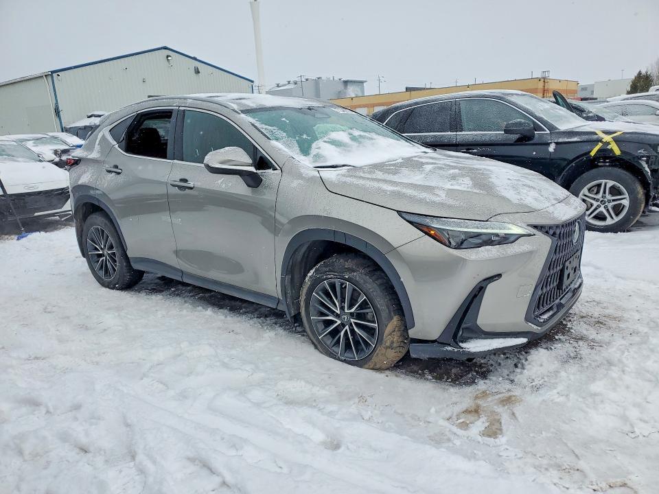 2023 Lexus NX