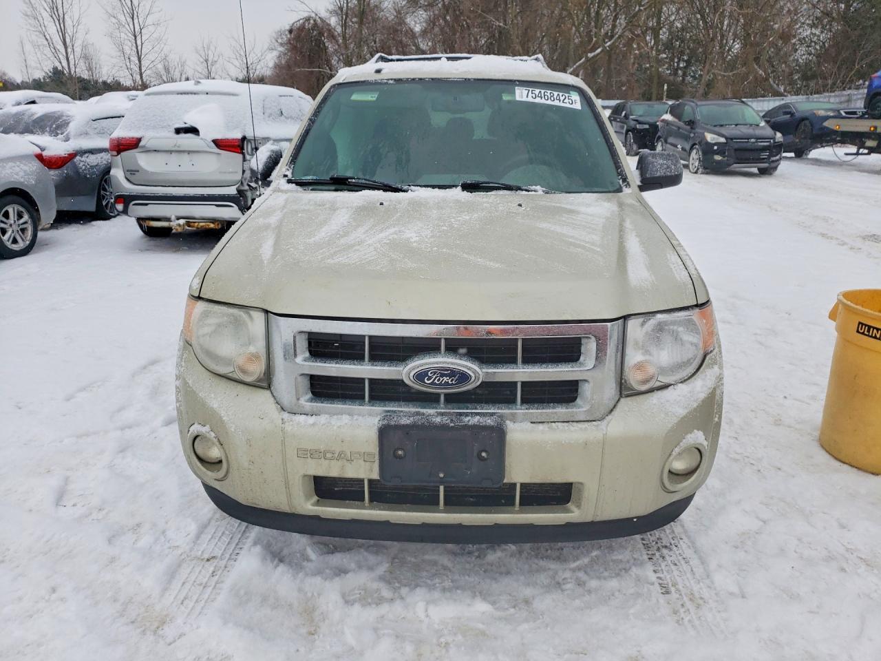 2010 Ford Escape xlt