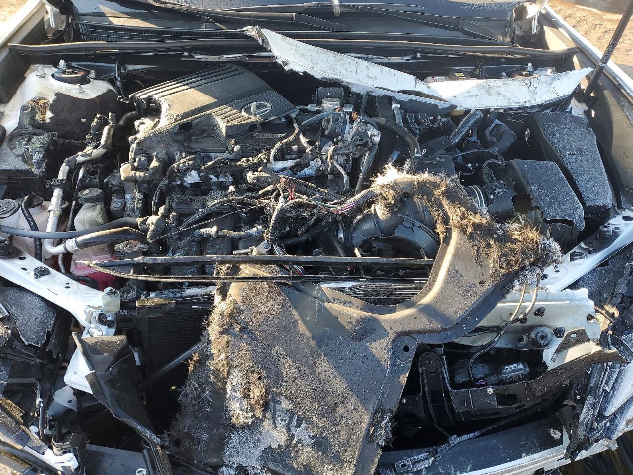 2025 Lexus Es 300h Base