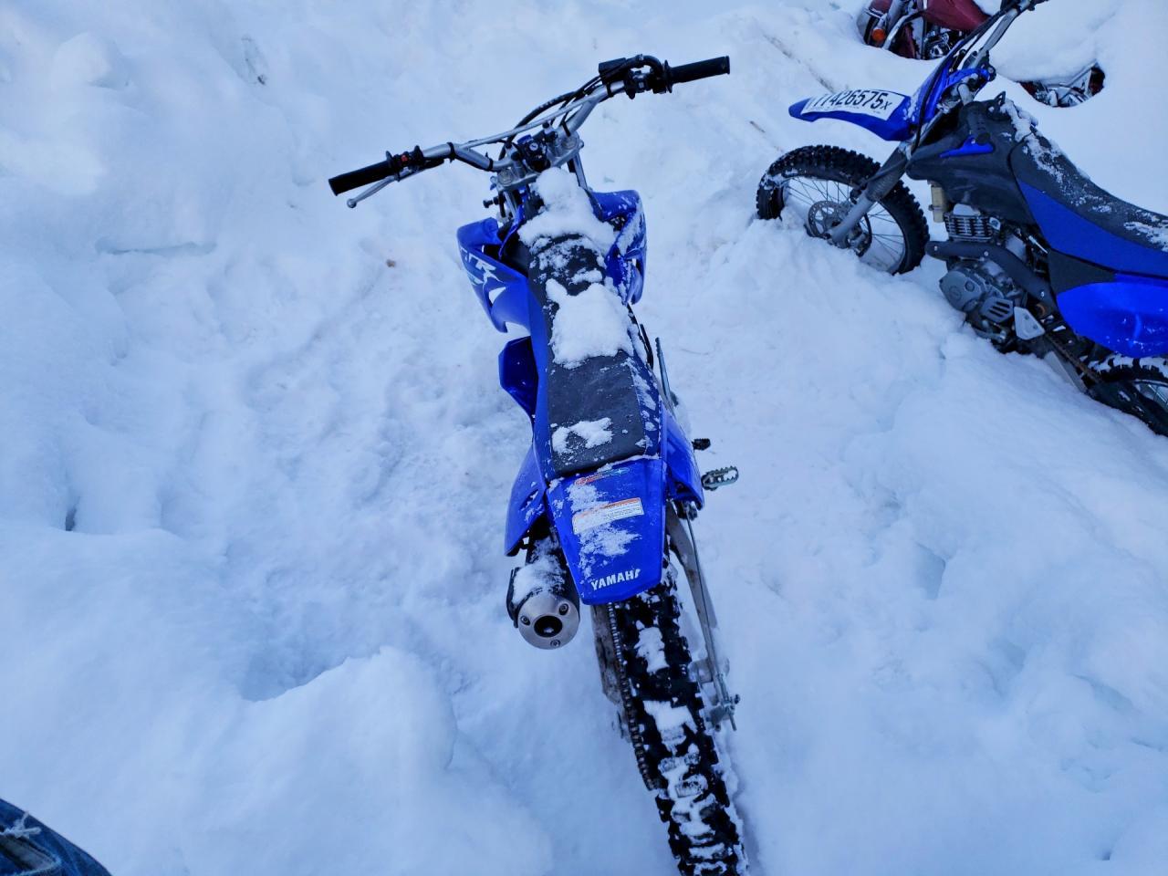 2025 Yamaha TTR125 LE