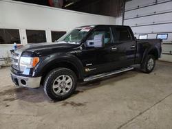 Salvage cars for sale from Copart Blaine, MN: 2013 Ford F150 Supercrew