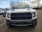 2019 Ford F150 Raptor