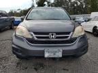 2010 Honda Cr-v exl