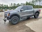 2024 Ford F150 Raptor