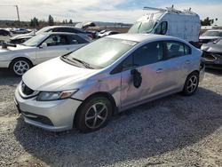 Honda Civic salvage cars for sale: 2015 Honda Civic se