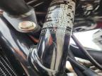 2025 Triumph Speed 400