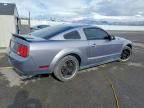 2006 Ford Mustang