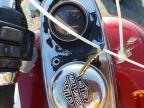 1984 Harley-Davidson XLS