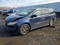 Honda Odyssey exl salvage cars for sale: 2016 Honda Odyssey exl