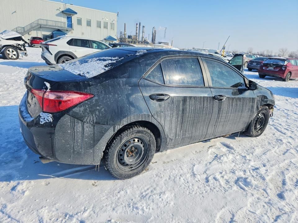 2019 Toyota Corolla l