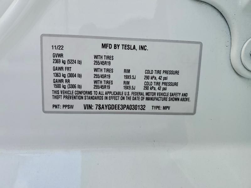 2023 Tesla Model y