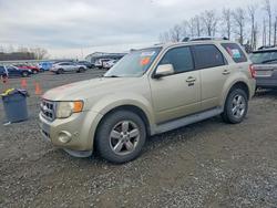 Ford Vehiculos salvage en venta: 2010 Ford Escape Limited