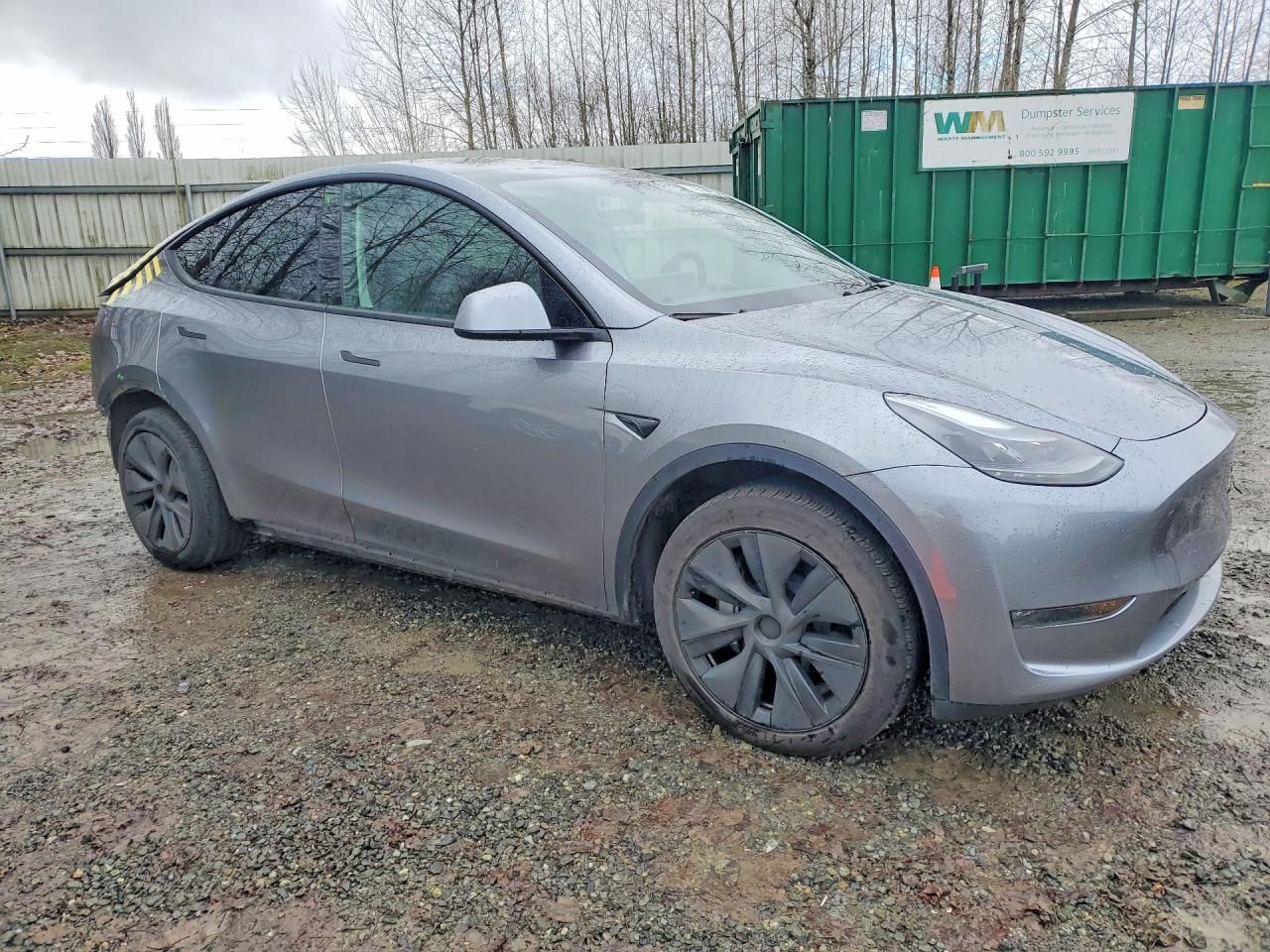 2025 Tesla Model y