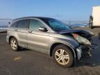 2010 Honda Cr-v exl
