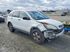 2009 Honda Cr-v lx