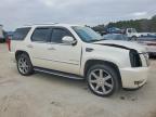 2013 Cadillac Escalade Luxury